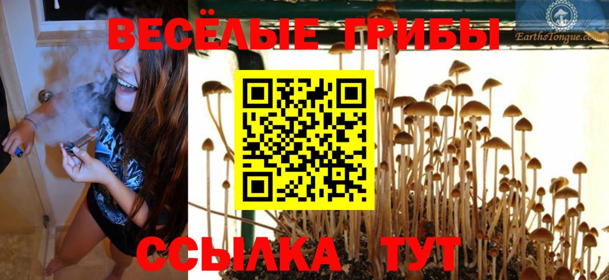 Галлюциногенные грибы Psilocybine cubensis  Вход с VPN  Сургут 